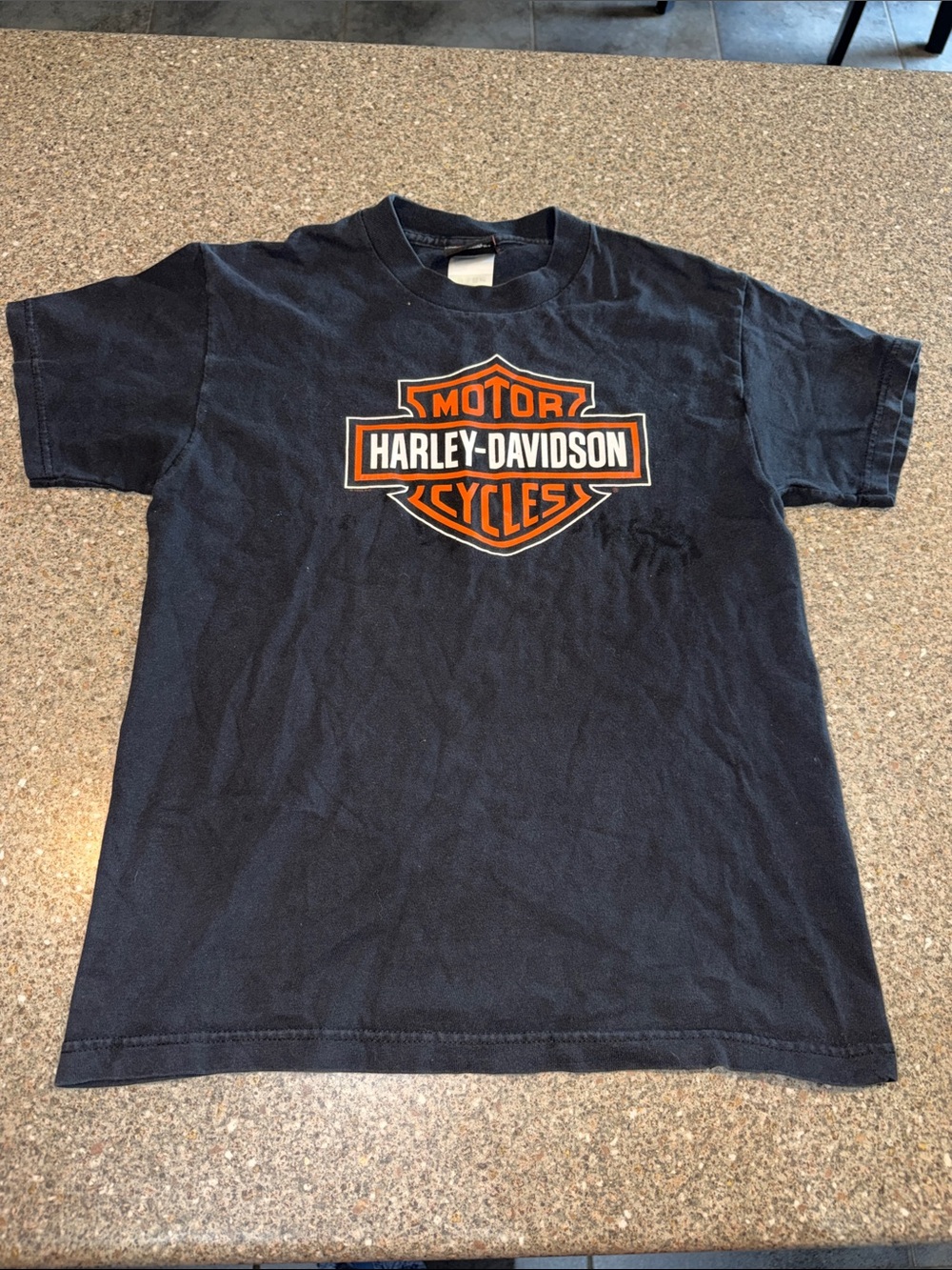 Harley-Davidson y2k Seattle shirt